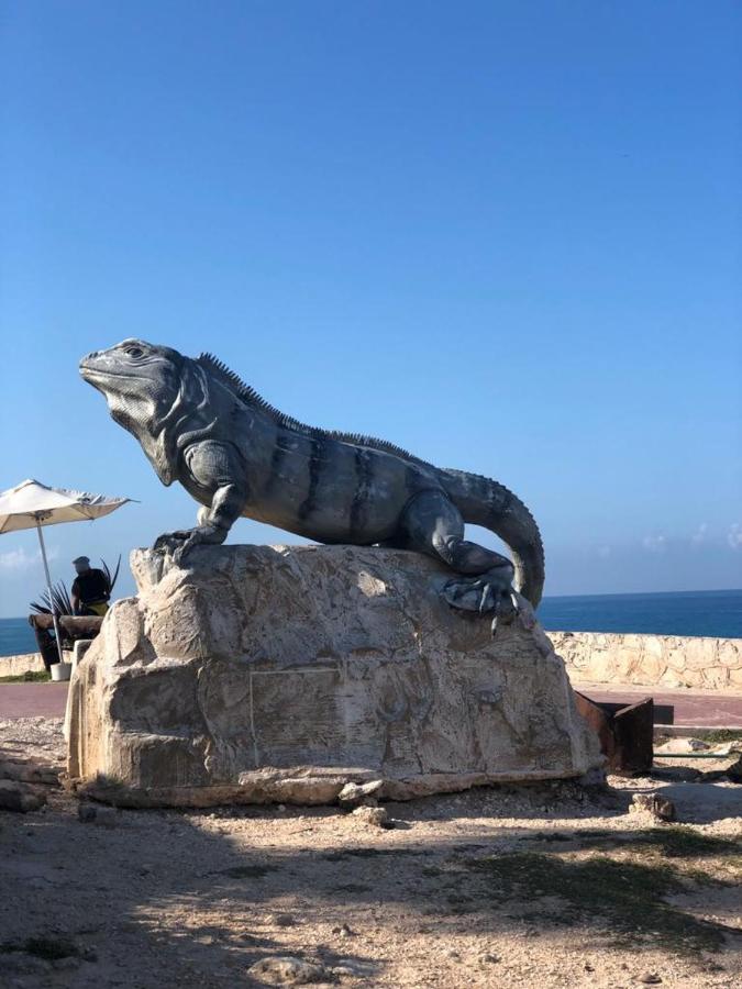777 Lenderman Hostal 777 Cancun Ngoại thất bức ảnh